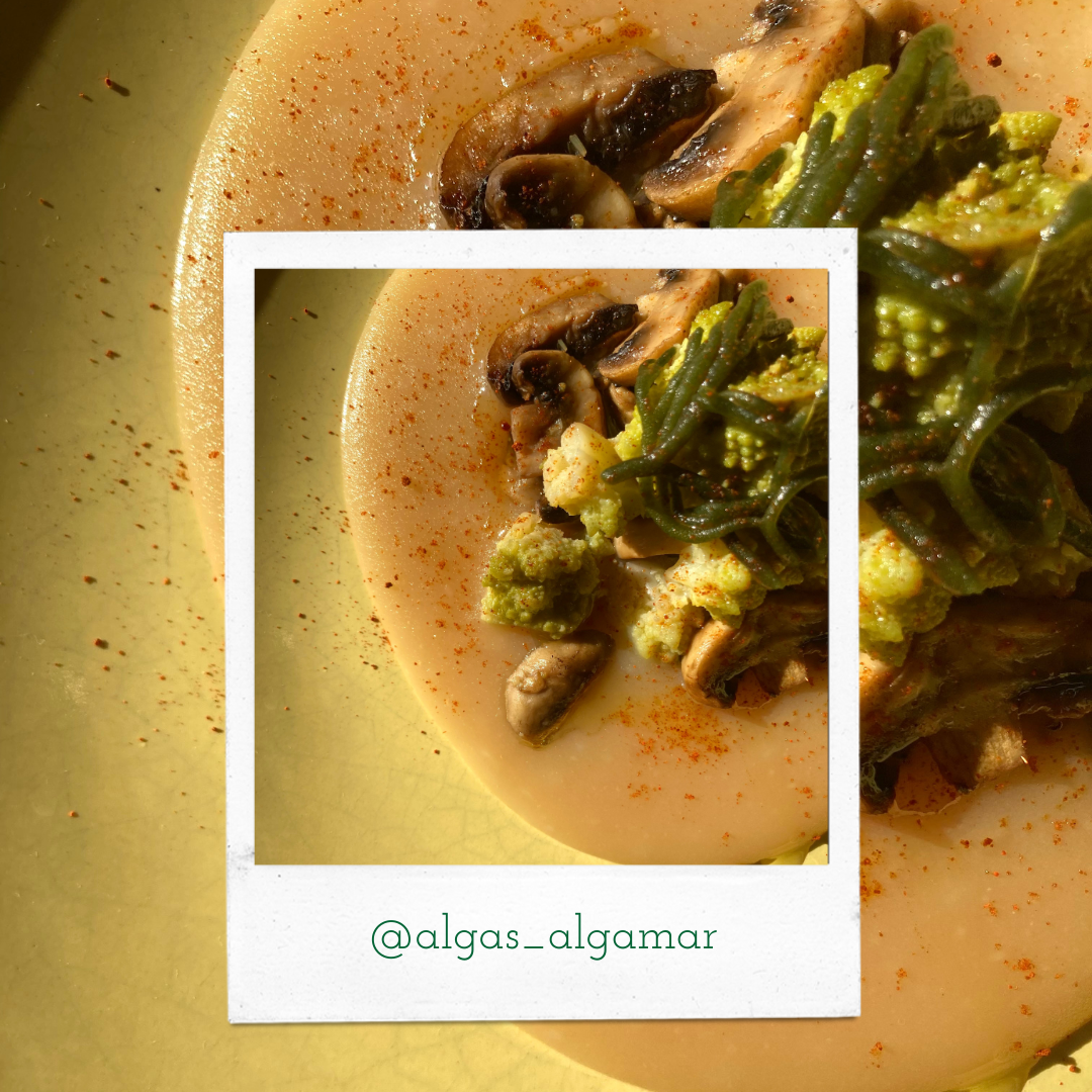 PURÉ DE PATATAS CON ROMANESCO Y ALGA CODIUM - PERCEBE